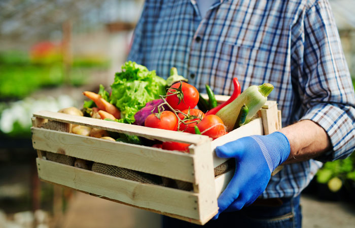 Agriculture, pêche, environnement
